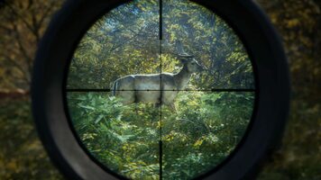 theHunter: Call of the Wild (PC) Steam Key UNITED STATES