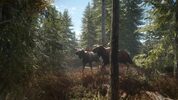 Get theHunter: Call of the Wild Steam Key EUROPE