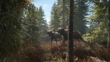 Get theHunter: Call of the Wild (Xbox One) Xbox Live Key EUROPE