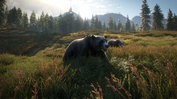 theHunter: Call of the Wild Steam Key GLOBAL for sale