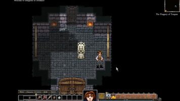 Redeem Dungeons of Dredmor Steam Key GLOBAL