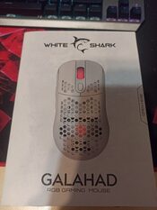 white shark galahad white