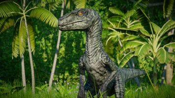 Redeem Jurassic World Evolution: Raptor Squad Skin Collection (DLC) Steam Key GLOBAL