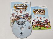 Buy Harvest Moon: Magical Melody Wii