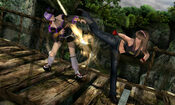 Redeem DEAD OR ALIVE Dimensions Nintendo 3DS