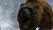 Get Cabela's Dangerous Hunts 2013 + Cabela's Hunting Expeditions Steam Key GLOBAL