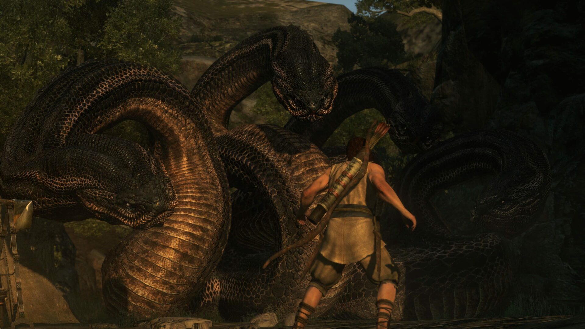 Buy Dragon's Dogma: Dark Arisen